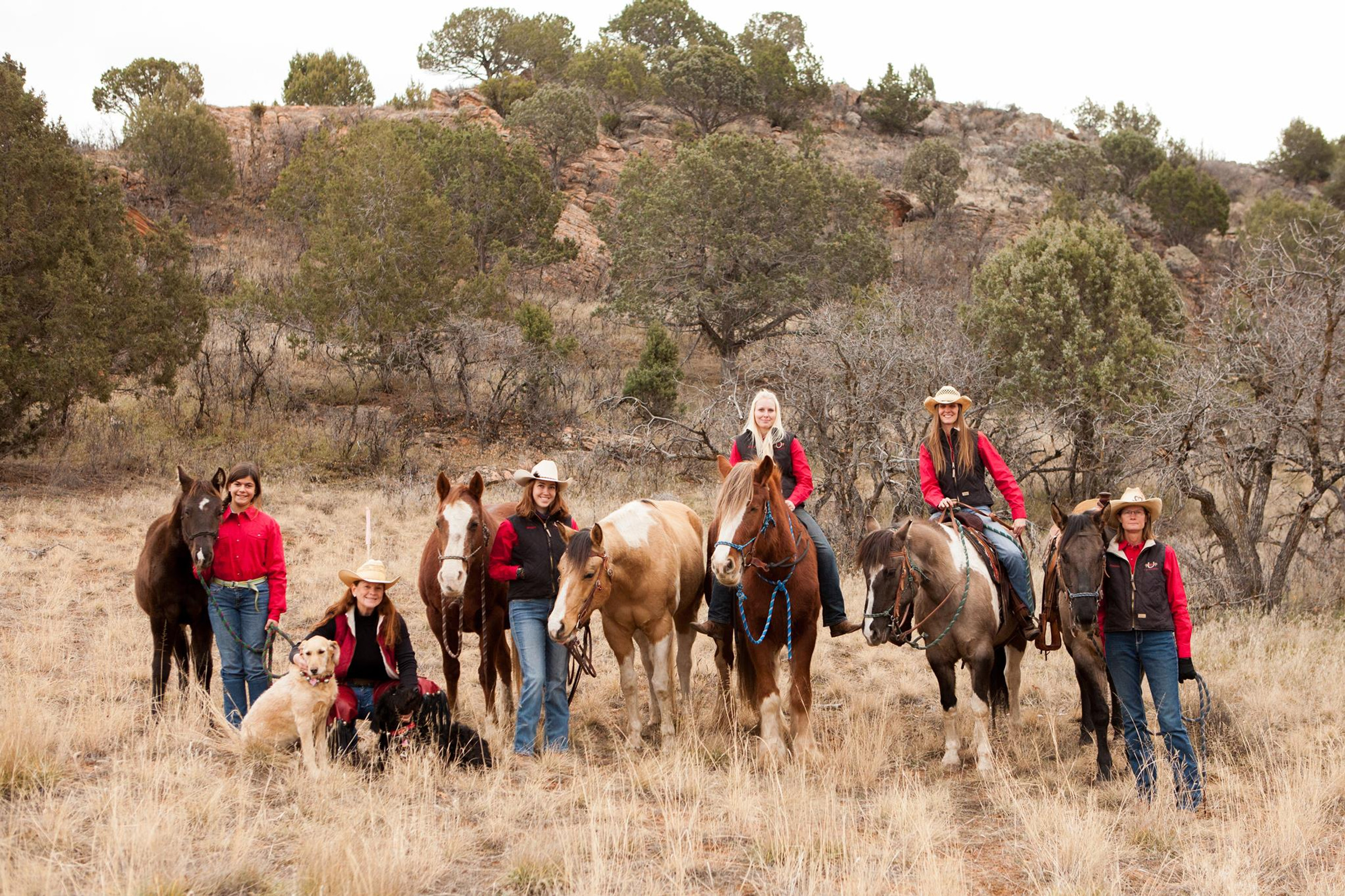 Kb Horses At Red Ledges logo