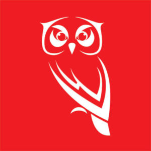 WISE Home Solutions logo