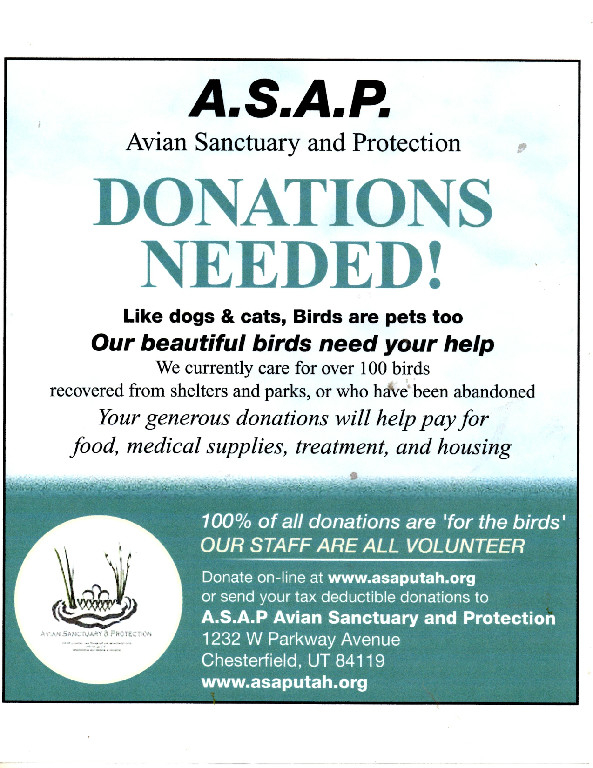 Avian Sanctuary & Protection logo