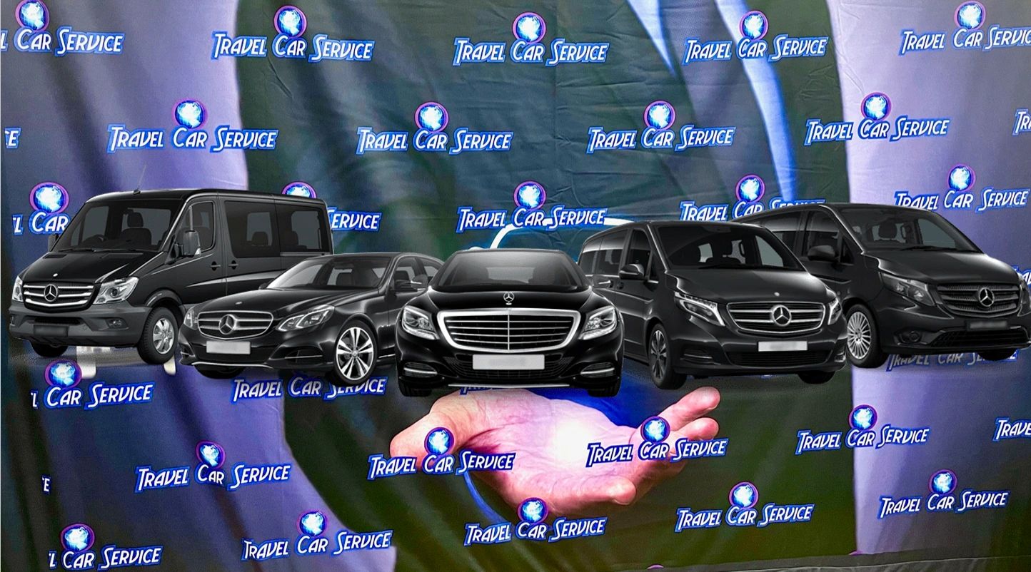 Travel Car Service logo
