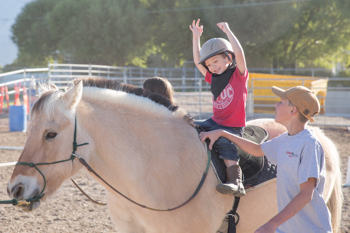 Courage Reins Equine Assisted Therapies logo