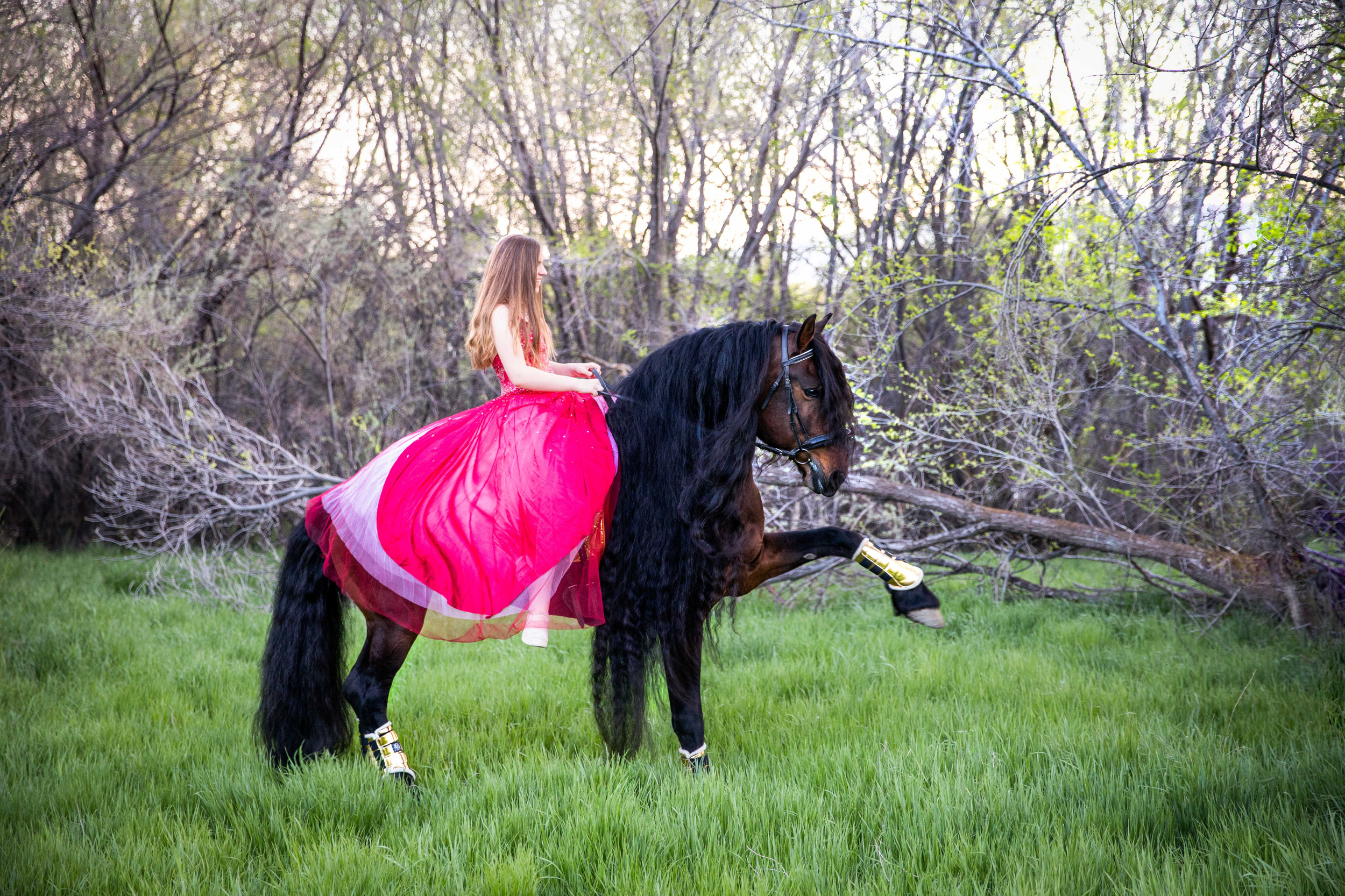 Imperial Kings Stables logo