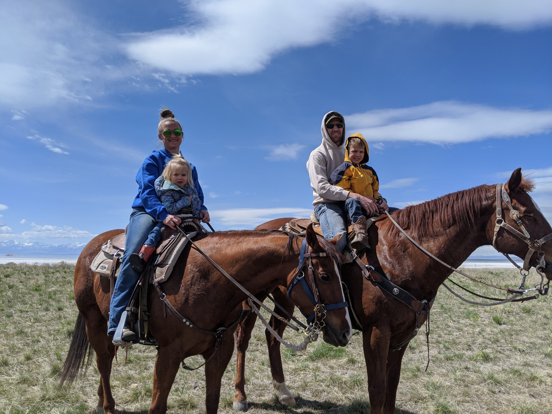 Silver Sage Equestrian logo