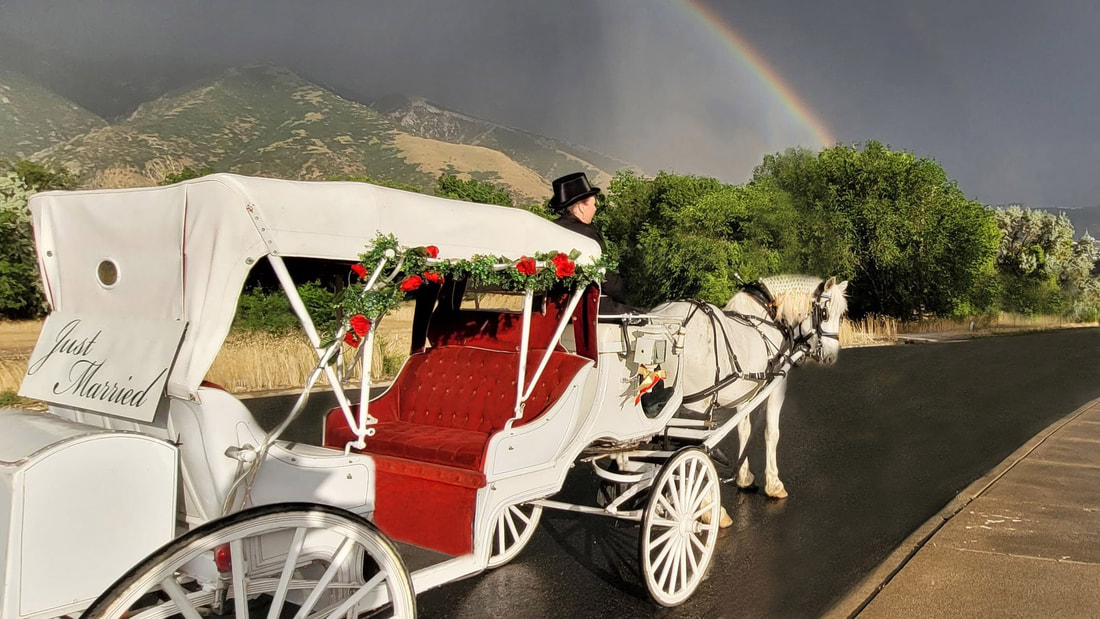 The Carriage Establishment logo