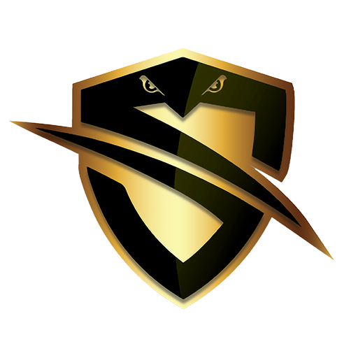Strider Security Llc logo