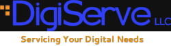DigiServe LLC logo