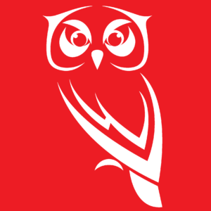 Wise Business Solutions logo