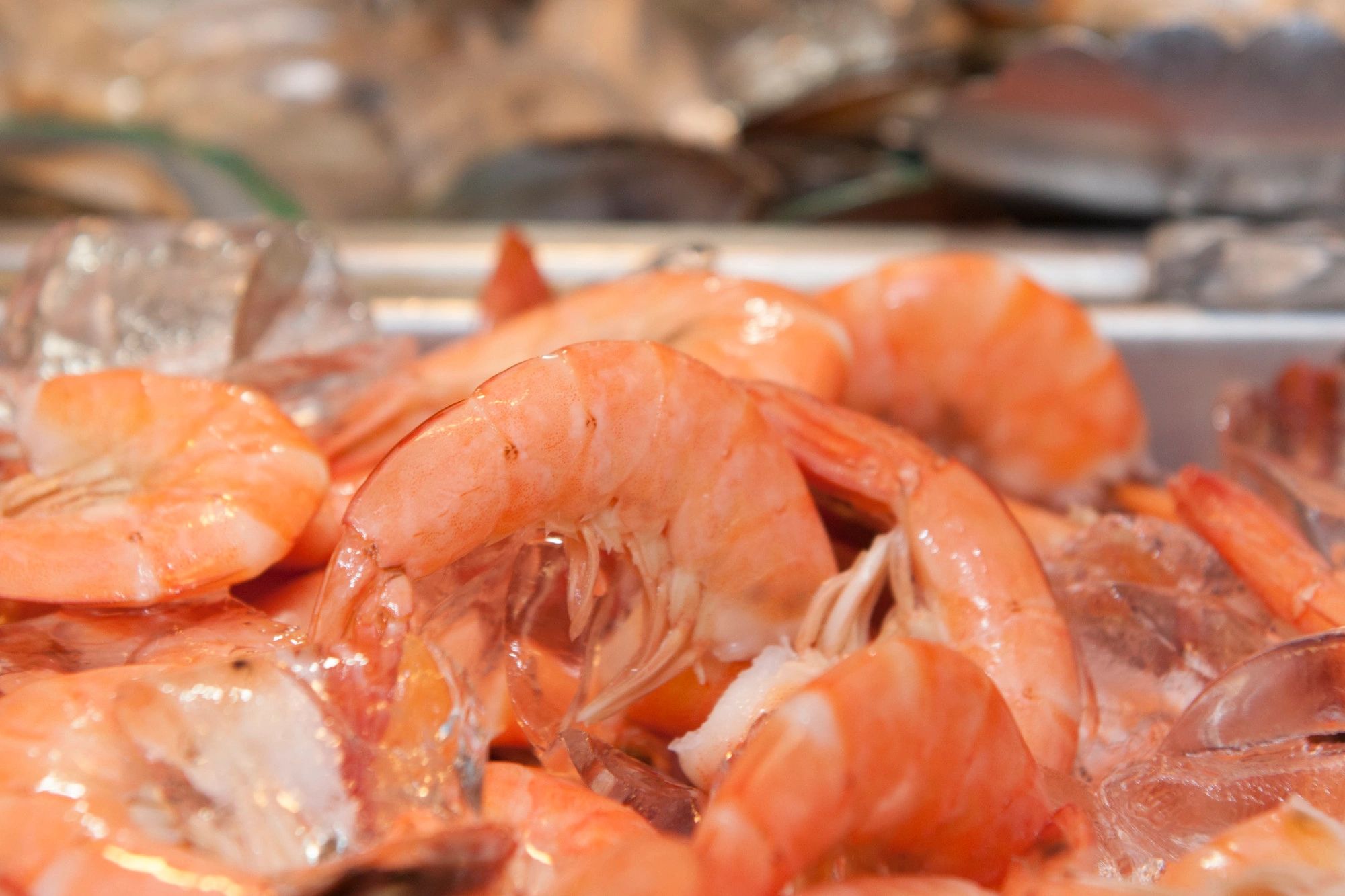 King Buffet of Salt Lake logo