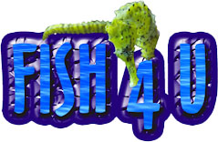 Fish 4 U logo