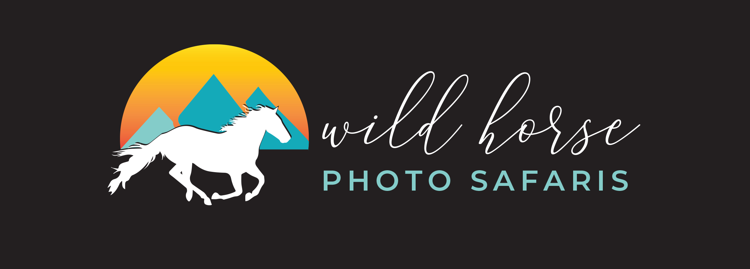Wild Horse Photo Safaris logo
