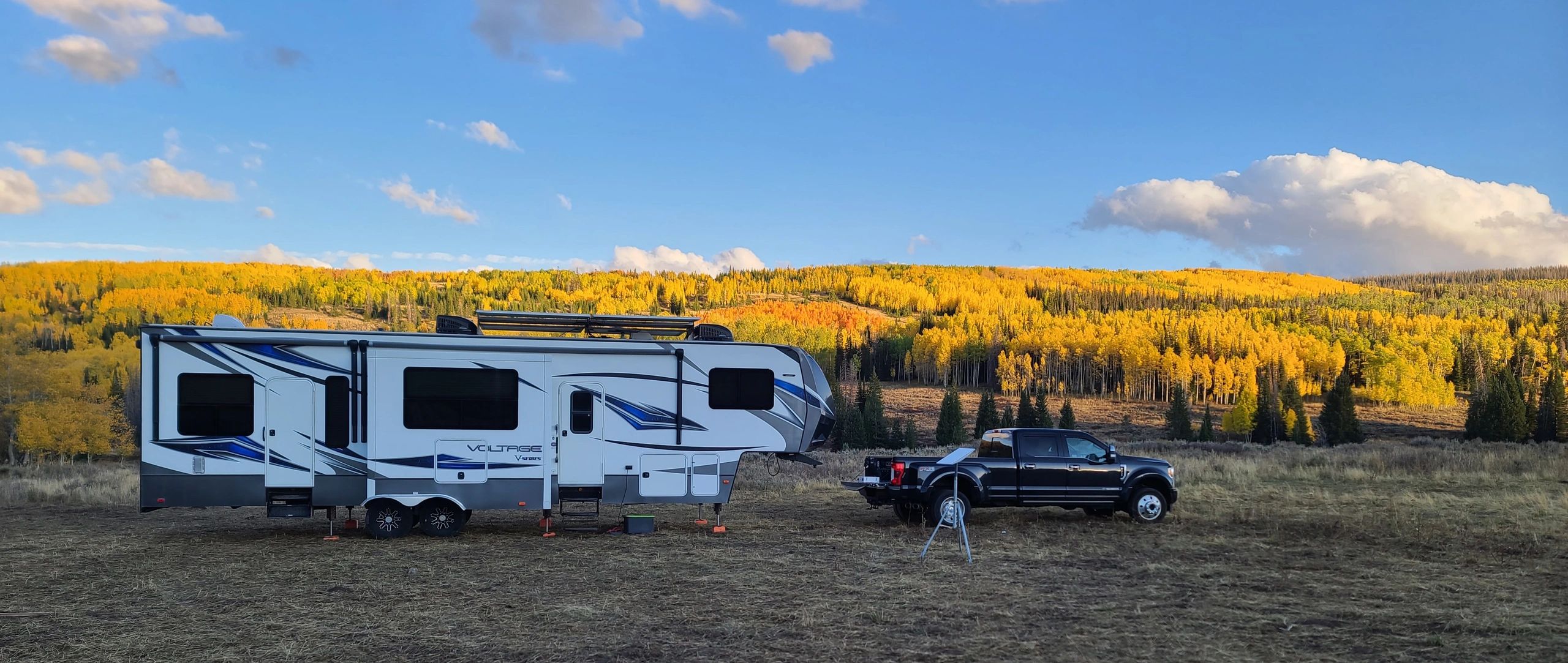 Tricky Lizard Llc logo