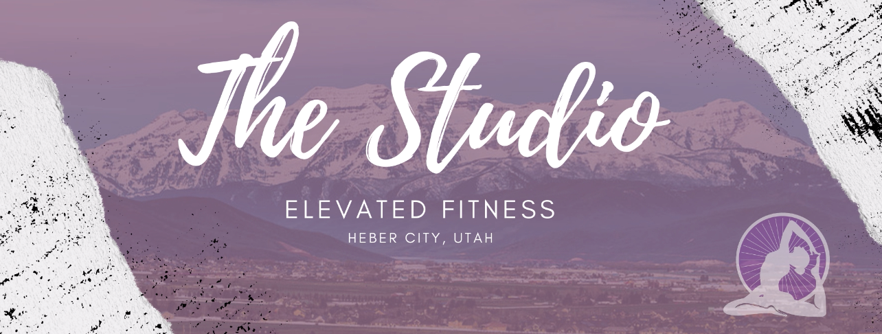 The Studio Elevated Fitness logo